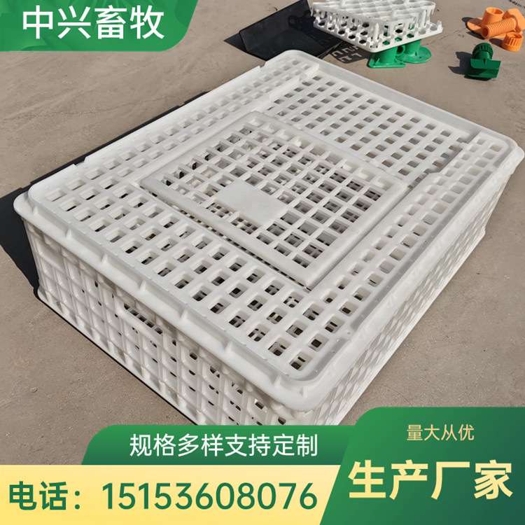塑料鸡笼子 大鸭笼子 肉鸡运输笼 鸡鸭用运输笼工厂直销量大从优