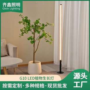 （大促销）G11 40W多肉开花结果植物生长补光灯植物上色果实增艳