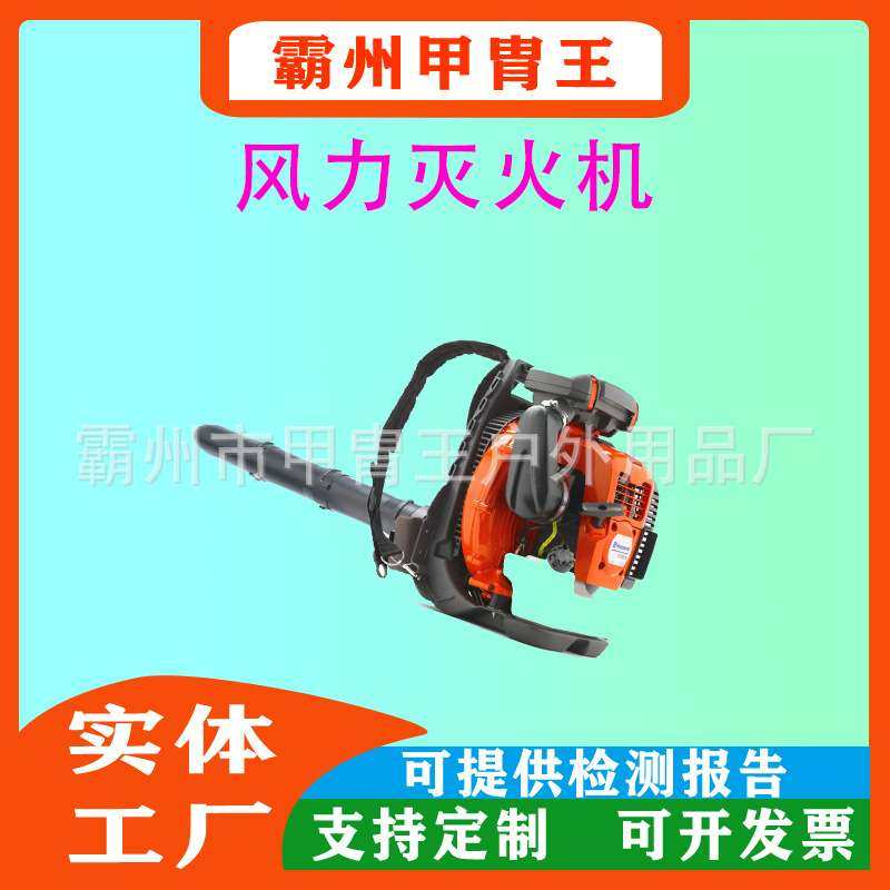 多功能汽油动力风力灭火机手提便携二冲程吹风机械,玩具/童车/益智/积木/模型,遥控车升级件/零配件,淘宝优惠券,粉丝福利购,淘宝优惠卷