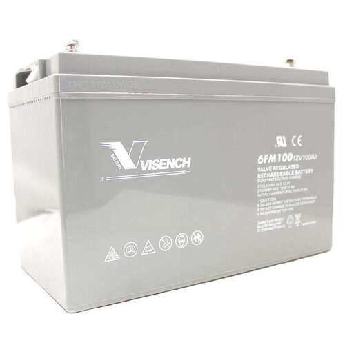 VISENCH/威神蓄电池12V100AH 免维护铅酸6FM100蓄电池 备用电源