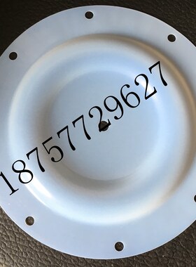 QBY/K-50/65DBY-50/65 气动隔膜泵配件F46膜片四氟膜片外径340