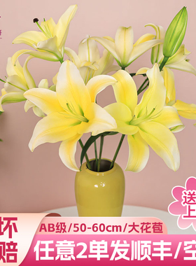 黄天霸香水百合花鲜花云南基地直发家用插花水养鲜切花2单发顺丰