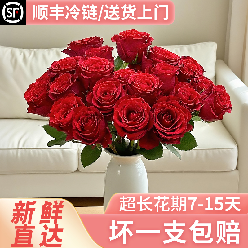 玫瑰花鲜花云南基地直发