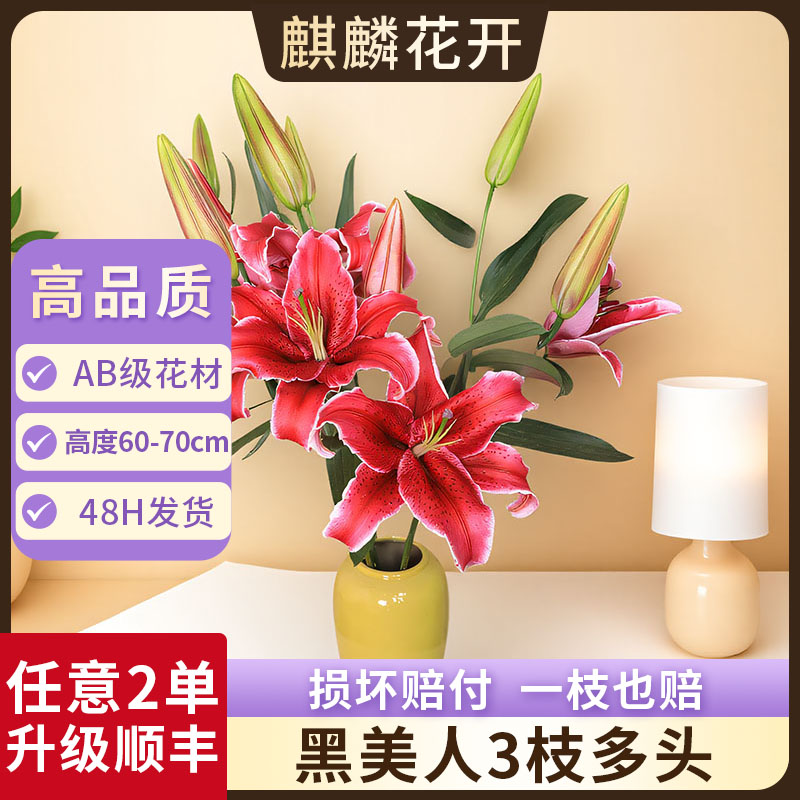 任意2单发顺丰/德邦空运