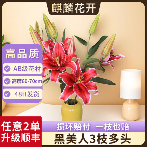 任意2单发顺丰/德邦空运