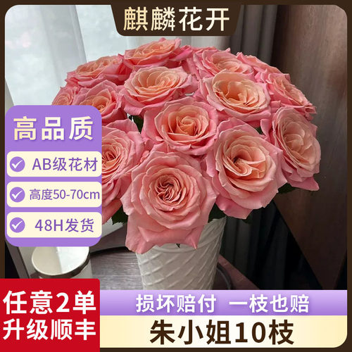 朱小姐单头玫瑰花鲜花云南基地直发水养鲜切花七夕情人节礼物花束