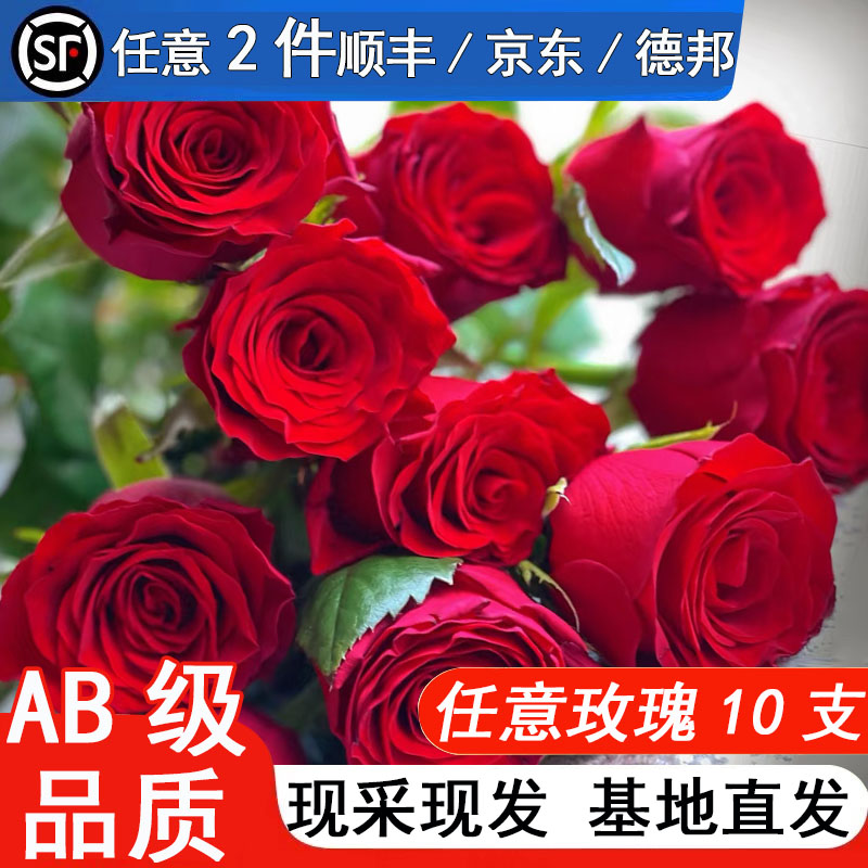 玫瑰花鲜花云南基地直发