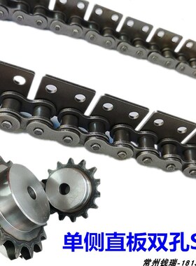 单侧直板双孔输送链4分08B单侧双孔链条5分10A6分12A1寸16A双孔
