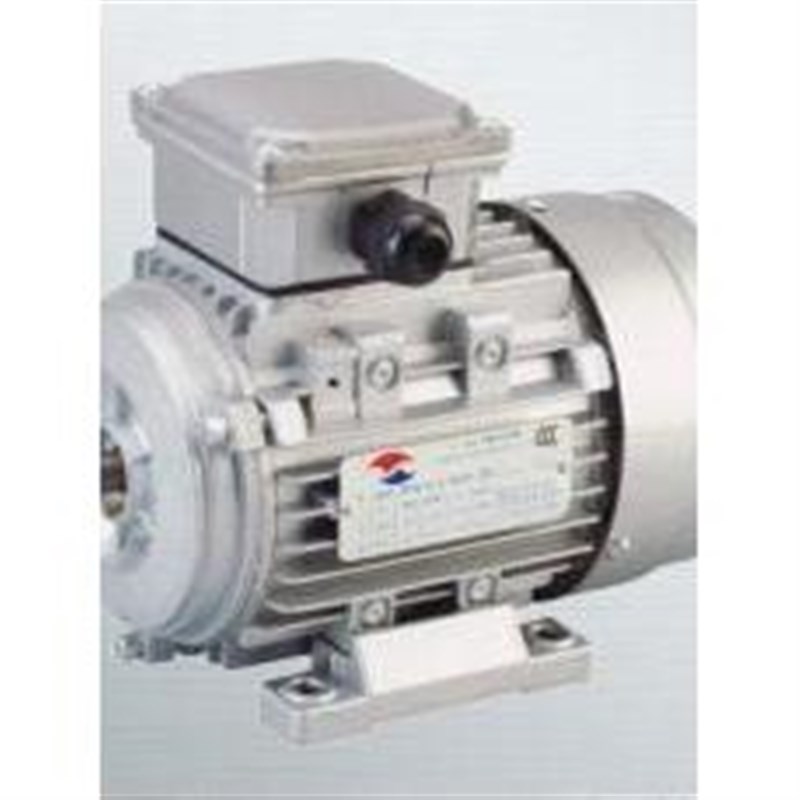 YSJ8024 750W  YSJ8016 370W 三相异步电动机 厂家直销