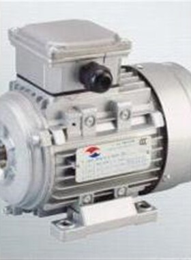 YSJ8024 750W  YSJ8016 370W 三相异步电动机 厂家直销