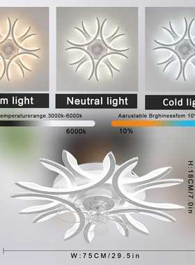 黑色现代静音LED吊扇灯可调光6档风速带记忆功能定时吸顶灯风扇灯