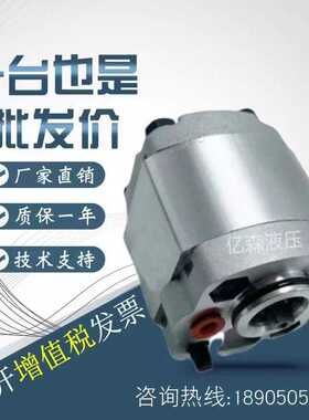 上海大众SDH齿轮泵CBD-F10.25/F10.5/F10.75/F11.50/F12.BRV油泵