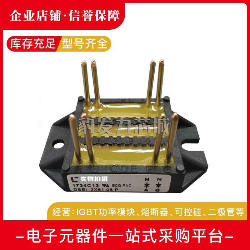 DSEI2X61-06A/12A DSEI2X101-06A/12A BYT260/261PIV800 功率模块