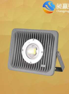 100WLED投光灯12V24V100WLED投光灯100W防爆投光灯低压投光灯