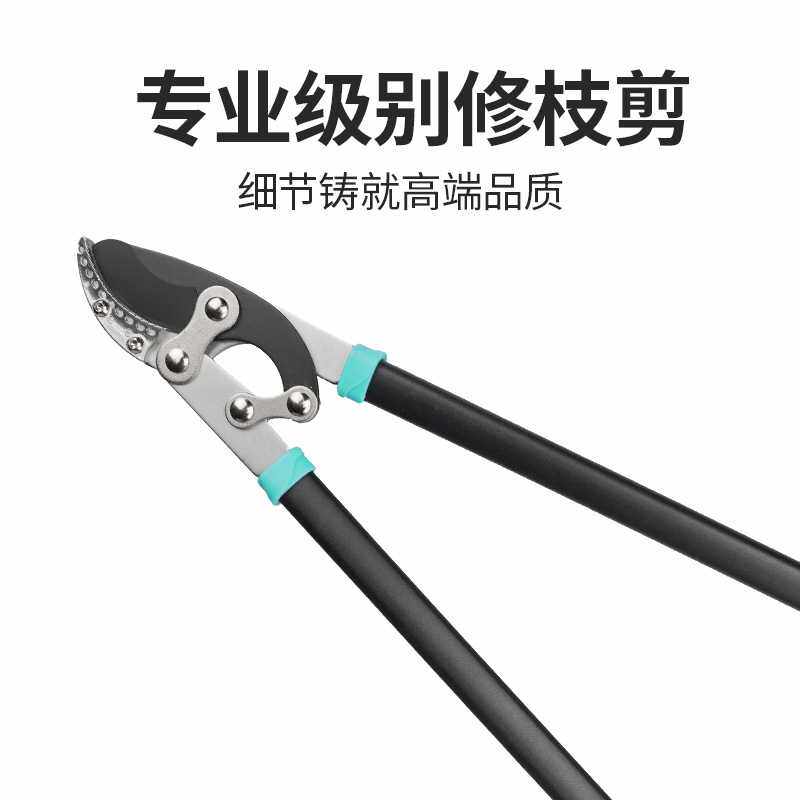 修枝剪树枝专用剪刀园艺大剪刀果树修枝修剪树枝园林剪刀粗枝剪