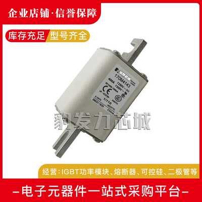 170M4158/4159/4160/4161/4162/4163/4164/65/66/67/68/69熔断器