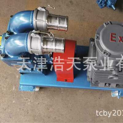 移动双向齿轮泵TDCS 柴油汽油 沥青 胶水 机油 稠油 聚氨酯齿轮泵