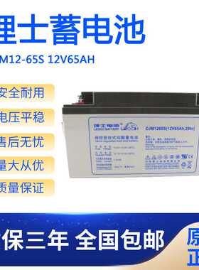 理士蓄电池DJM1265S直流屏UPS电源12V65AHEPS照明LEOCH电厂电瓶