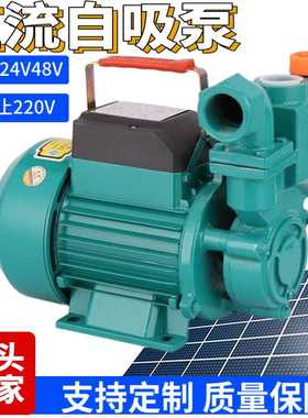 DC12V24V48V太阳能直流自吸泵高扬程家用电瓶车抽水机花园电瓶泵