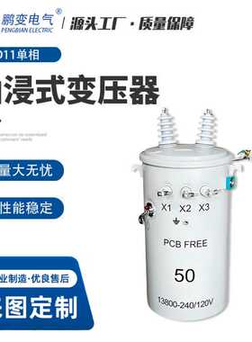 鹏变变压器 50KVA带CSP单相柱上式油浸变压器出口变压器