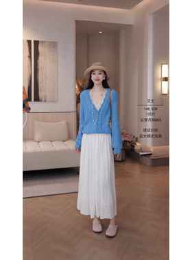 艾文文IRIS素锦裙 2026春款“水溶羊毛”抗起球针织半身裙26QZ124