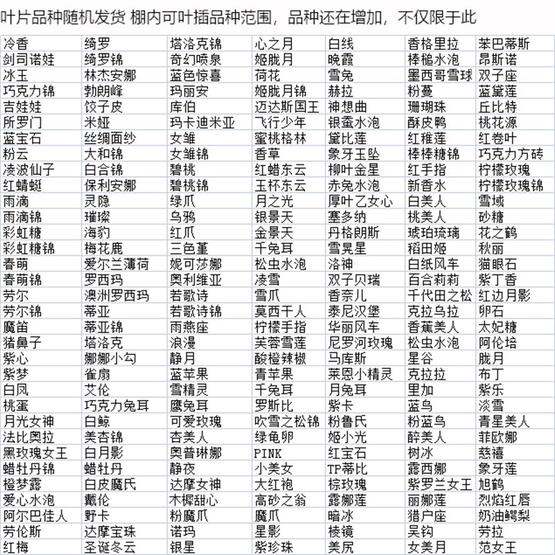 多肉植物叶片叶插 l多肉叶片福利套餐 100个品种叶片容易繁殖 砍