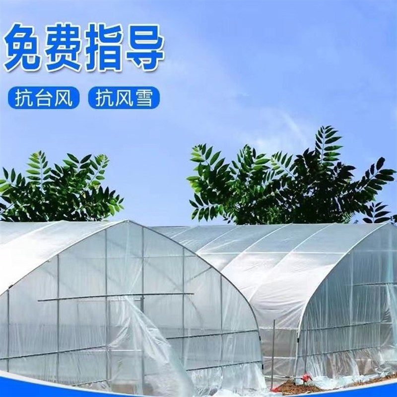 养殖大棚全套养鸡棚养鸭棚猪棚牛棚蔬菜大棚N骨架全套专用温室全