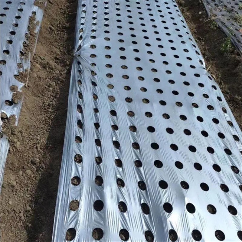 粉防己专用银黑打孔地s膜除草保温保墒反光上色 透明防风