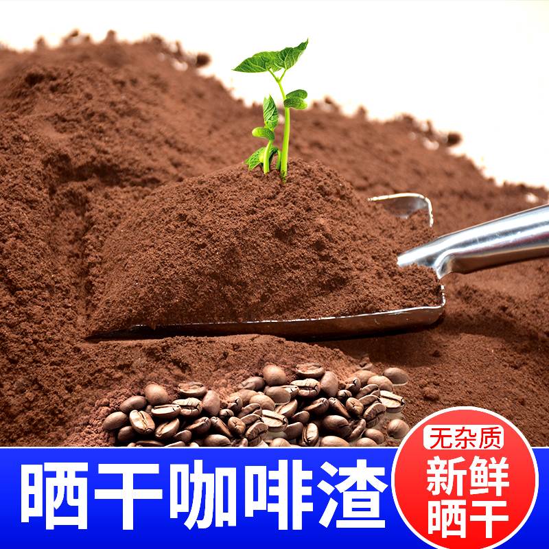 咖啡渣除味 新房去甲醛 除异味烟灰缸灭烟除臭活性炭包磨砂膏干渣