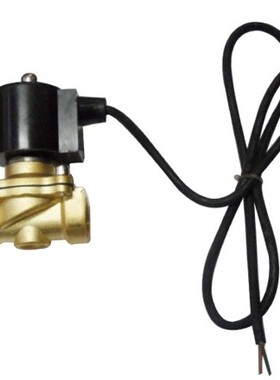 BOPU博普2A200-20 防水电磁阀 水下专用电磁阀6分水下电磁阀