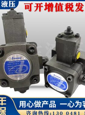 dekema德克玛油泵VP1-20/15/12/08-70 VP2-30/40-55 VP-20C3 B2 A