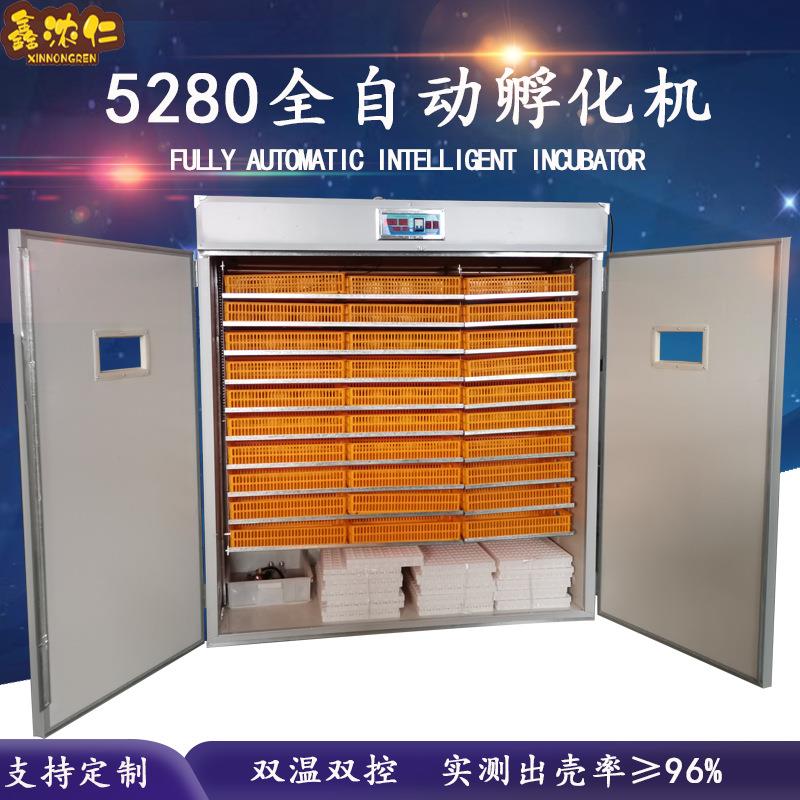 源头产地小鸡 孵化器 智能家用小型孵蛋器 大型全自动恒温孵化机