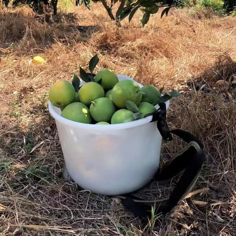 采摘蔬果桶采摘蓝莓杨梅枣子神器斜挎桶轻便农用撒肥桶,工业油品/胶粘/化学/实验室用品,实验室漏斗,淘宝优惠券,粉丝福利购,淘宝优惠卷