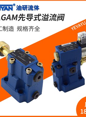 WGAM电磁50溢流阀AGAM-10/20/32/10/11/100/210/350/V/24DC/230AC