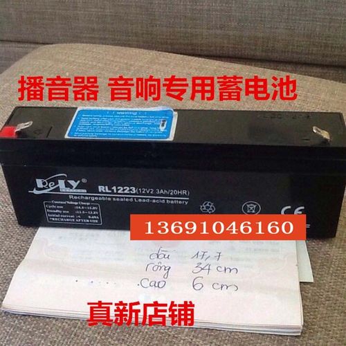 RELY蓄电池 RL1223 (12V2.3Ah/20HR)音响 扩音器 播音器用蓄电池