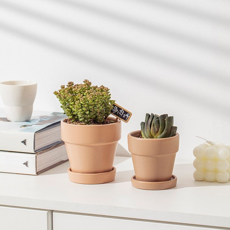 多肉花盆带托盘小号桌面小盆栽花盆陶瓷家用北欧可爱肉肉专用多肉,工业油品/胶粘/化学/实验室用品,实验室漏斗,淘宝优惠券,粉丝福利购,淘宝优惠卷
