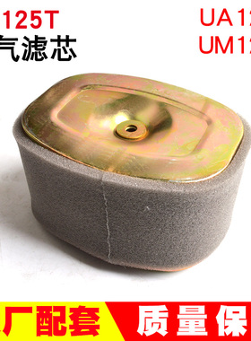 踏板车新海王星UA125T-A天龙星T-3红宝UM125T-C/A空气滤芯滤清器