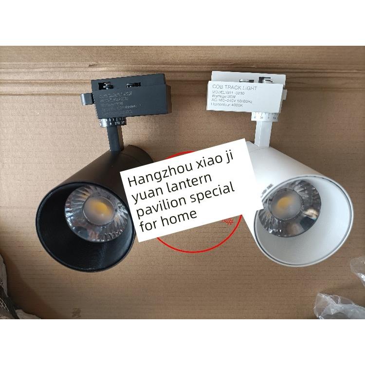 雷泰照明led轨道灯cob射灯20w30w导轨灯服装店背景墙展厅店铺商用