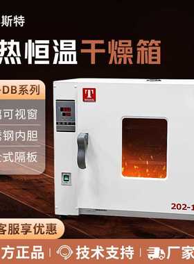 天津泰斯特 101-1DB/2DB/3DB 电热鼓风干燥箱 实验室小型烘箱