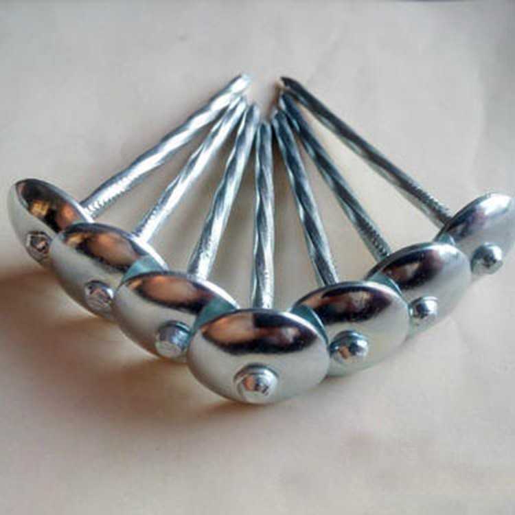 瓦楞钉  镀锌麻花钉大头钉加长大帽木用钉子瓦楞钉螺丝钉水泥墙钉