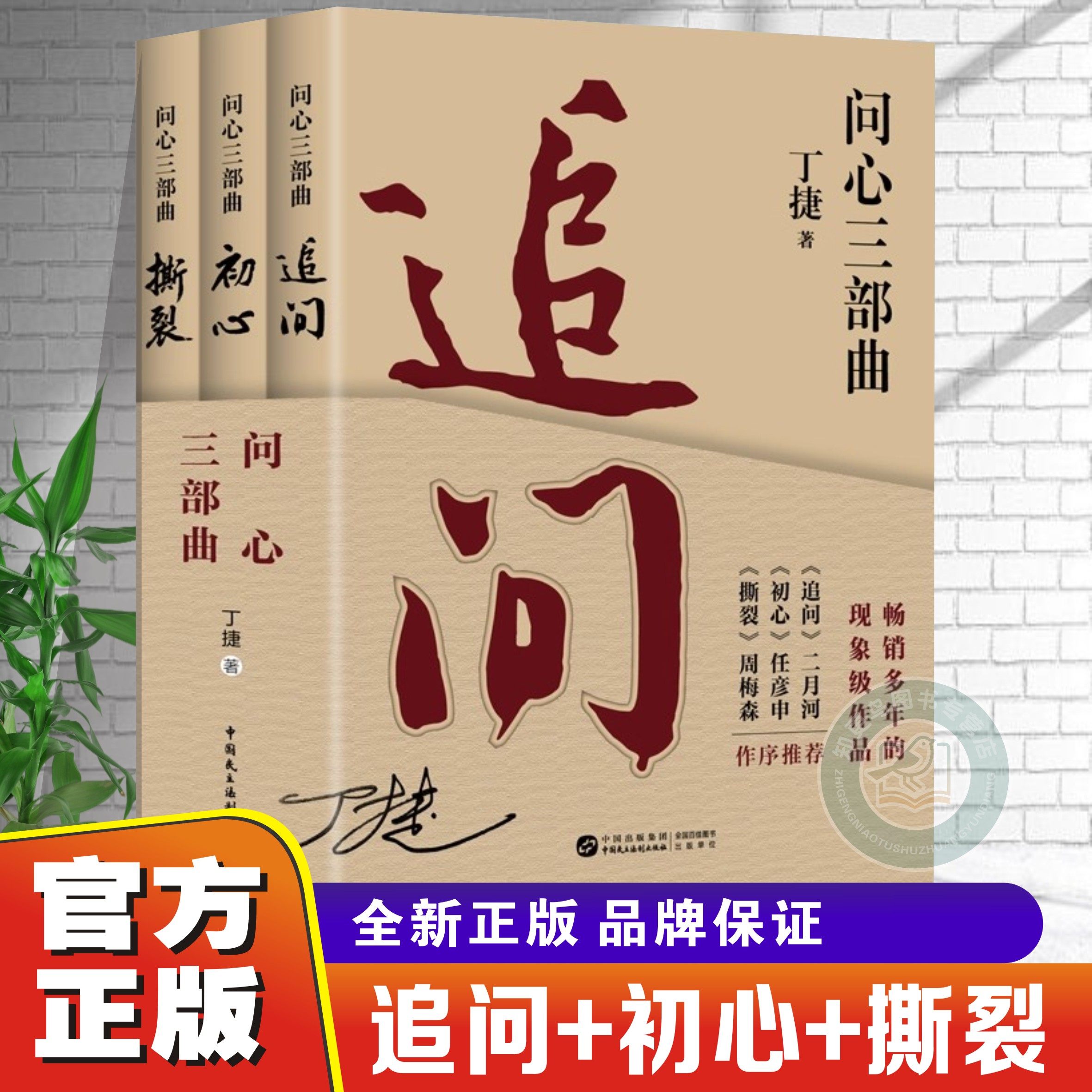 问心三部曲中国民主法制反腐警示