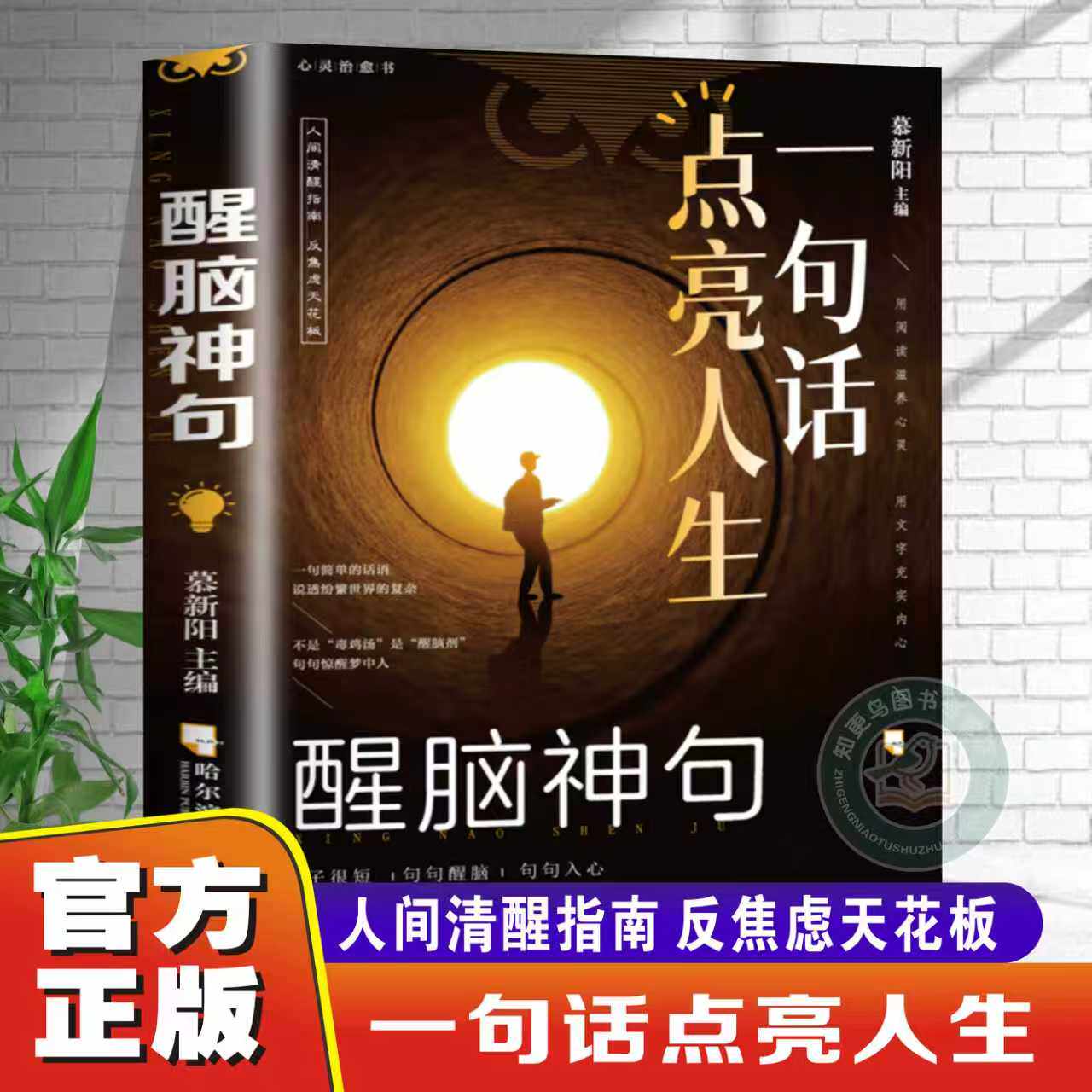 【官方正版】一句话点亮人生醒脑神句人间清醒指南处事智慧名言一句顶一万句名言警句座右铭名人名言格言句子星球读者作文励志书籍