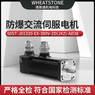自动化产线防爆交流伺服驱动电机 - 专为高危环境设计