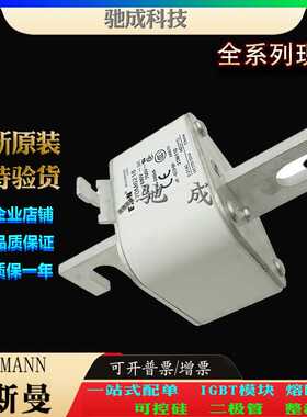 巴斯曼170M6229 170M6237 170M6238 原装进口 价优 方体熔断器