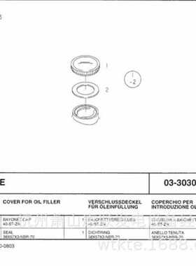 51.96601-0313D2866TE德国曼
