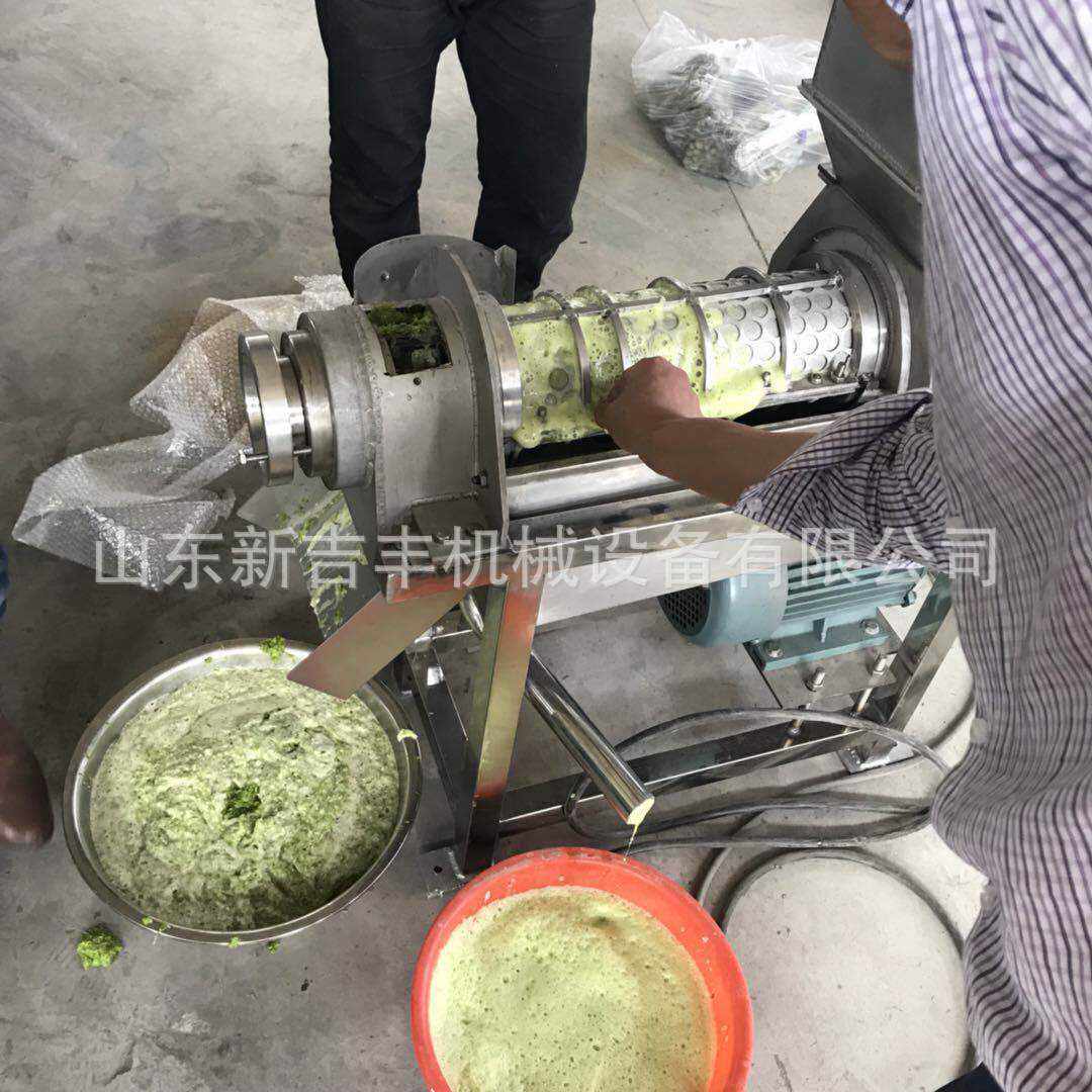 冷冻蔬菜打浆机芒果青梨榨汁机桃子西瓜打浆机去皮去核机渣汁分离