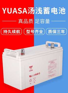 YUASA汤浅蓄电池NP210-12H 12V210AH电力控制UPS后备电源12v220ah