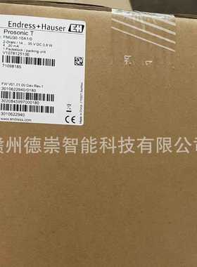 Endress+HauseE+H恩德斯豪斯 FMU30-10A1/0r  30-8米超声波液位计