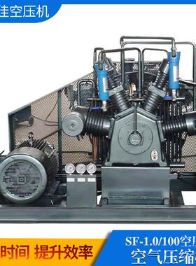 SF-1.0/100高压空压机