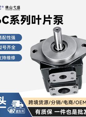 定量叶片油泵T6C-003 012 014 017 020 025 031-1R00 01 02-ABC1